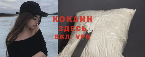 ГАЛЛЮЦИНОГЕННЫЕ ГРИБЫ Аркадак