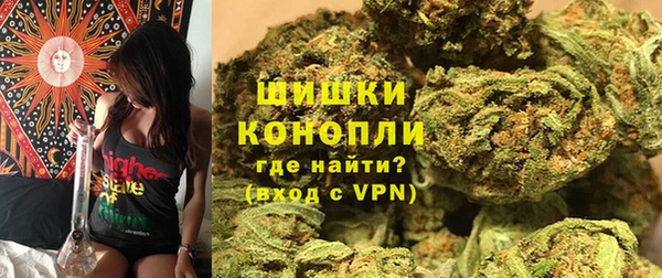 ГАЛЛЮЦИНОГЕННЫЕ ГРИБЫ Аркадак